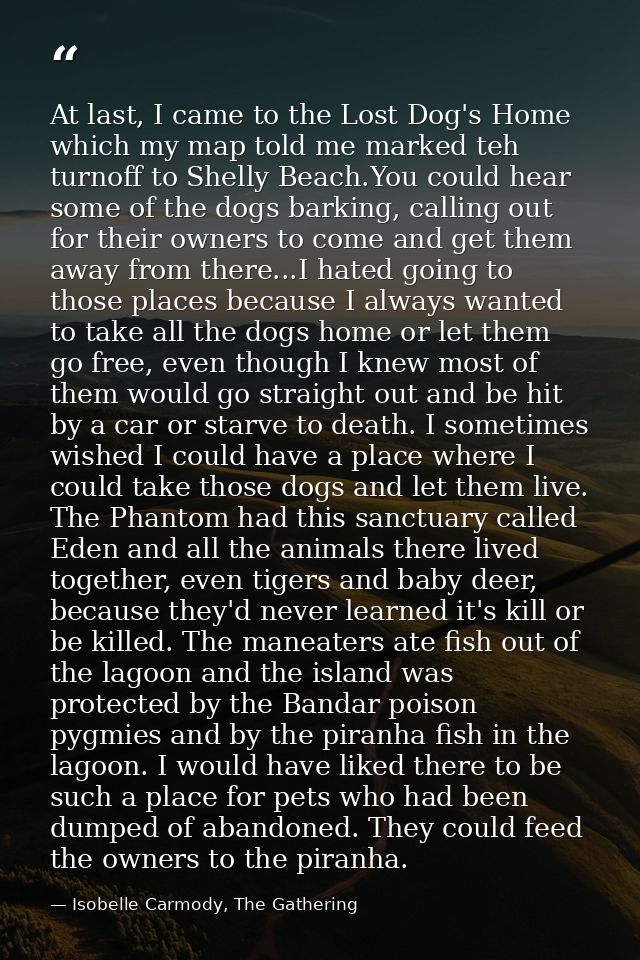 At last, I came to the Lost Dog's Home which my map told me marked teh turnoff to Shelly Beach.You could hear some of th — Isobelle Carmody, The Gathering