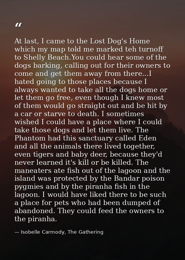 At last, I came to the Lost Dog's Home which my map told me marked teh turnoff to Shelly Beach.You could hear some of th — Isobelle Carmody, The Gathering