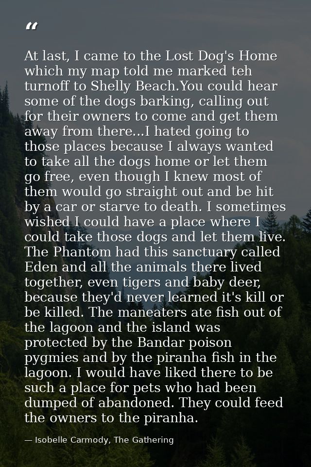 At last, I came to the Lost Dog's Home which my map told me marked teh turnoff to Shelly Beach.You could hear some of th — Isobelle Carmody, The Gathering