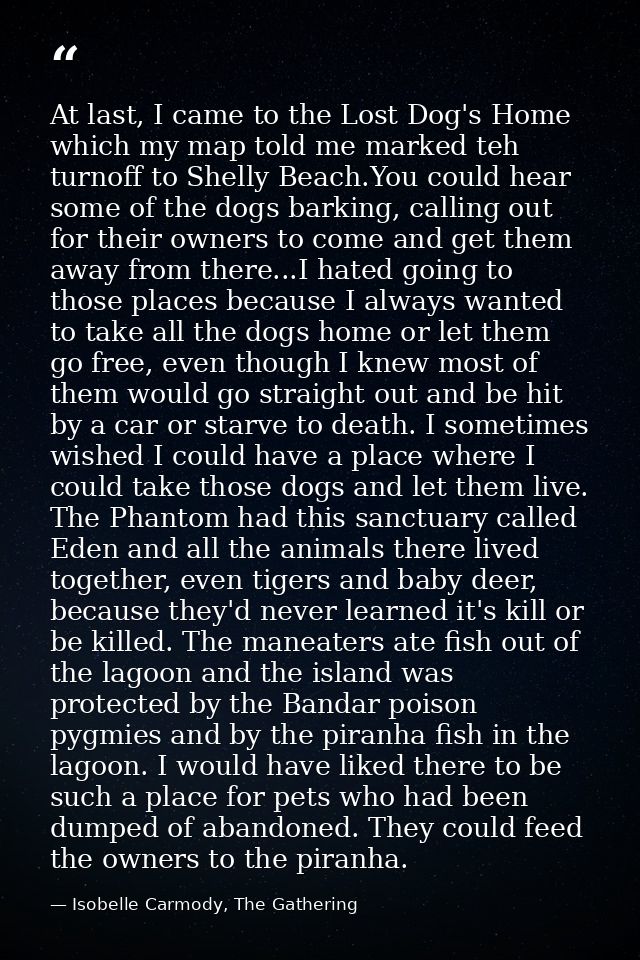 At last, I came to the Lost Dog's Home which my map told me marked teh turnoff to Shelly Beach.You could hear some of th — Isobelle Carmody, The Gathering