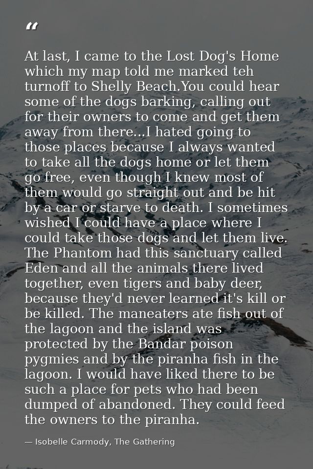 At last, I came to the Lost Dog's Home which my map told me marked teh turnoff to Shelly Beach.You could hear some of th — Isobelle Carmody, The Gathering
