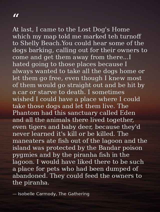 At last, I came to the Lost Dog's Home which my map told me marked teh turnoff to Shelly Beach.You could hear some of th — Isobelle Carmody, The Gathering
