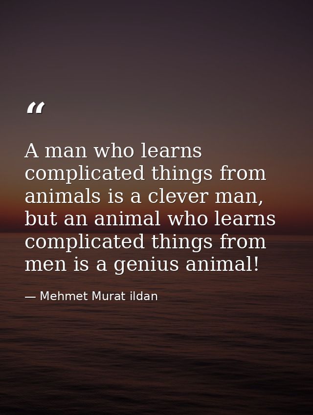 A man who learns complicated things from animals is a clever man, but an animal who learns complicated things from men i — Mehmet Murat ildan