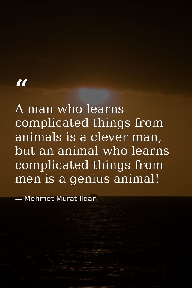 A man who learns complicated things from animals is a clever man, but an animal who learns complicated things from men i — Mehmet Murat ildan