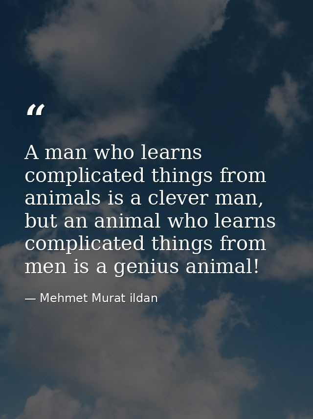 A man who learns complicated things from animals is a clever man, but an animal who learns complicated things from men i — Mehmet Murat ildan