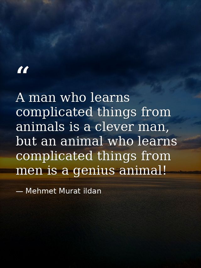 A man who learns complicated things from animals is a clever man, but an animal who learns complicated things from men i — Mehmet Murat ildan