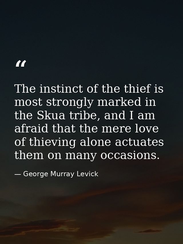 The instinct of the thief is most strongly marked in the Skua tribe, and I am afraid that the mere love of thieving alon — George Murray Levick