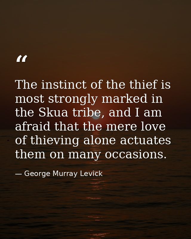The instinct of the thief is most strongly marked in the Skua tribe, and I am afraid that the mere love of thieving alon — George Murray Levick