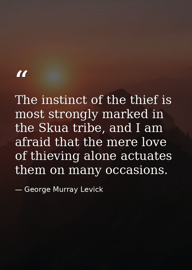 The instinct of the thief is most strongly marked in the Skua tribe, and I am afraid that the mere love of thieving alon — George Murray Levick
