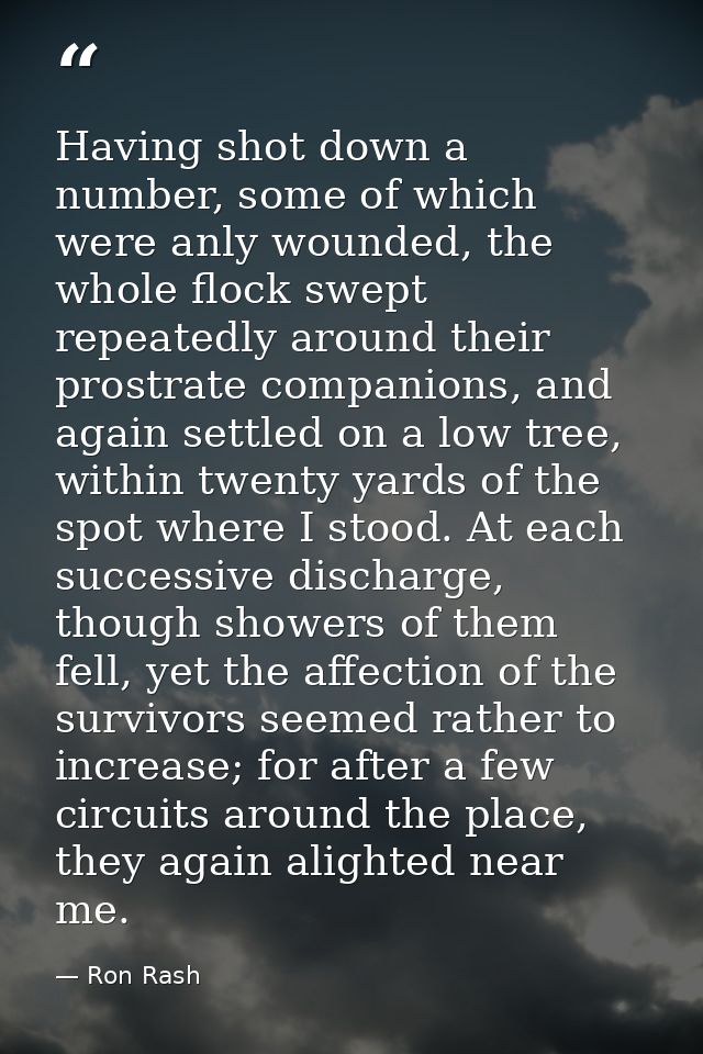 Having shot down a number, some of which were anly wounded, the whole flock swept repeatedly around their prostrate comp — Ron Rash