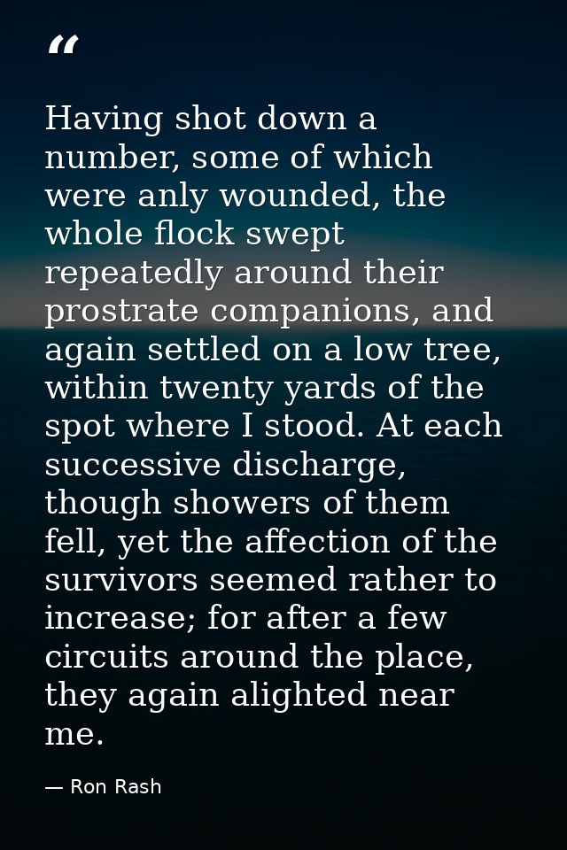 Having shot down a number, some of which were anly wounded, the whole flock swept repeatedly around their prostrate comp — Ron Rash