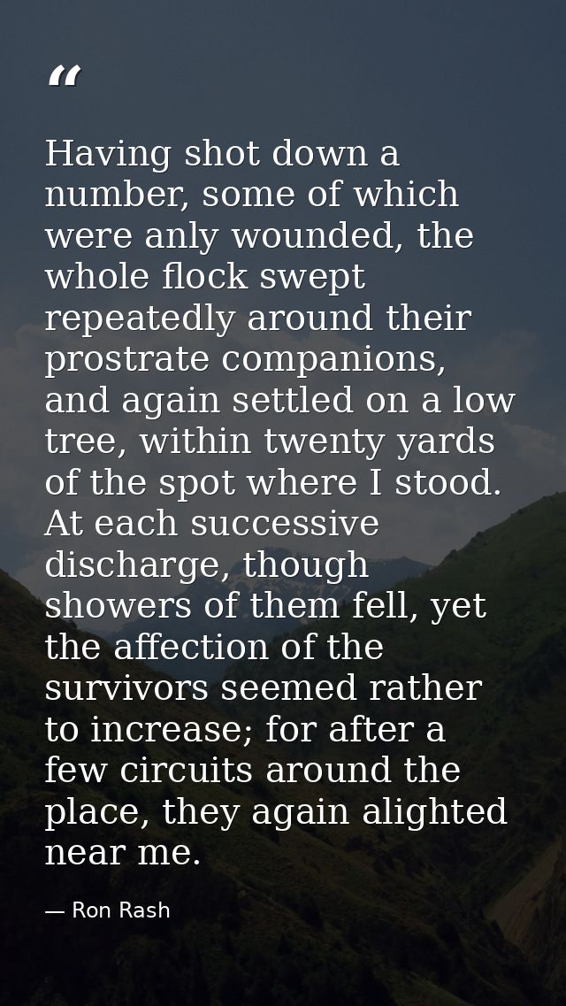 Having shot down a number, some of which were anly wounded, the whole flock swept repeatedly around their prostrate comp — Ron Rash