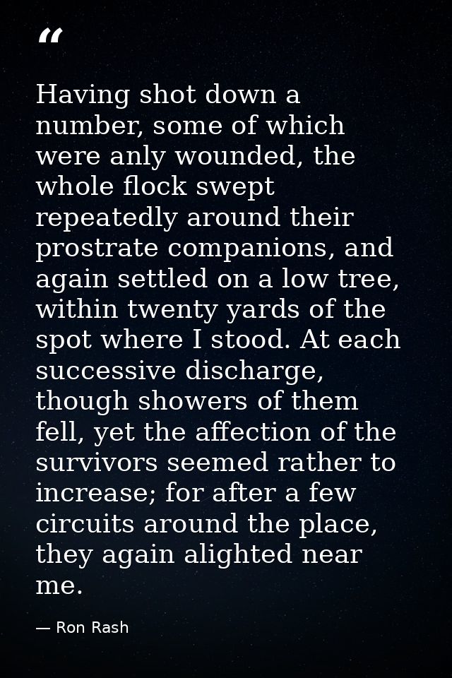 Having shot down a number, some of which were anly wounded, the whole flock swept repeatedly around their prostrate comp — Ron Rash