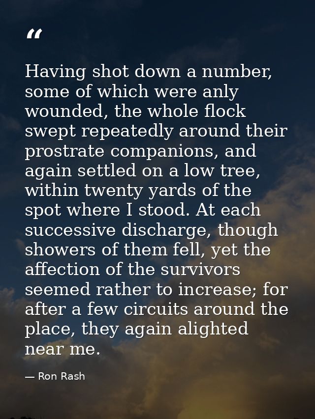 Having shot down a number, some of which were anly wounded, the whole flock swept repeatedly around their prostrate comp — Ron Rash