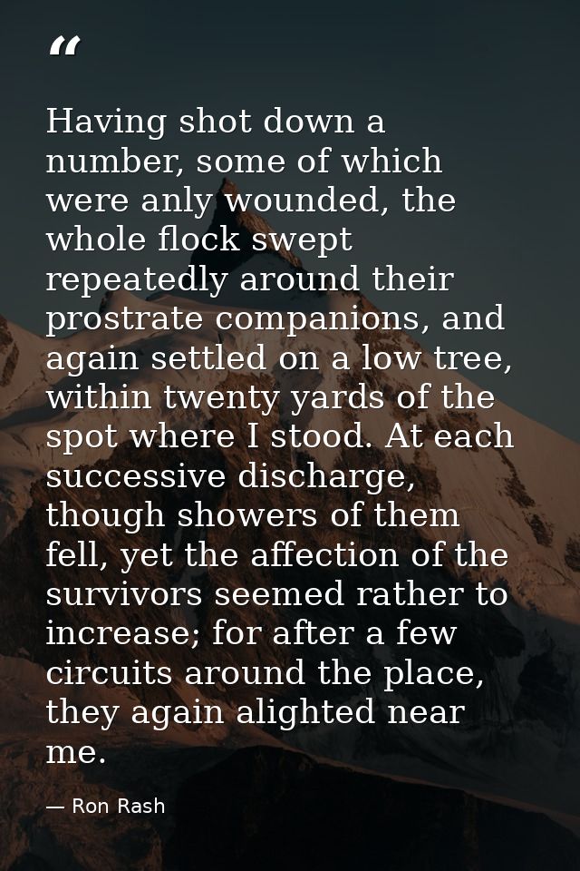 Having shot down a number, some of which were anly wounded, the whole flock swept repeatedly around their prostrate comp — Ron Rash