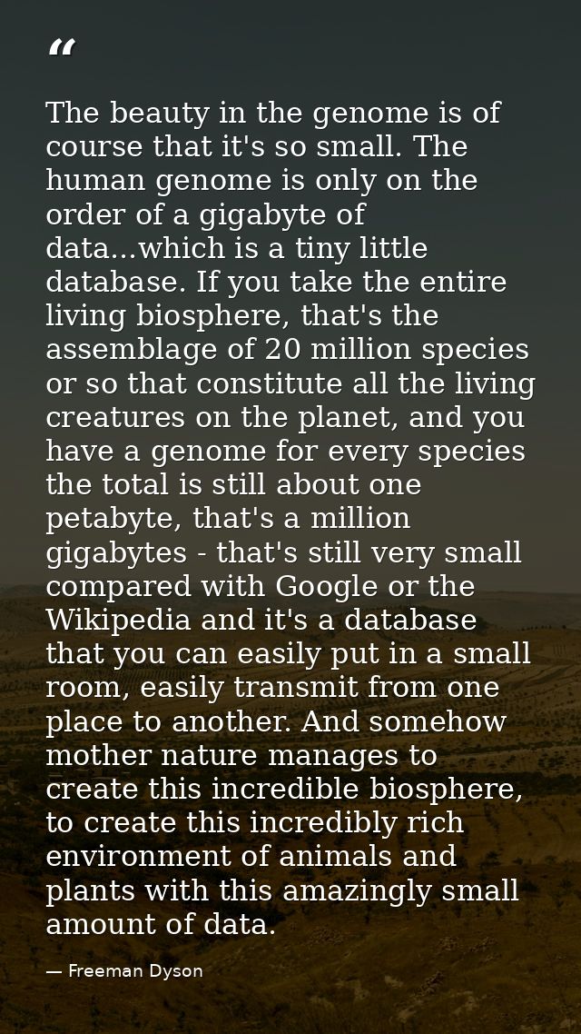 The beauty in the genome is of course that it's so small. The human genome is only on the order of a gigabyte of data... — Freeman Dyson