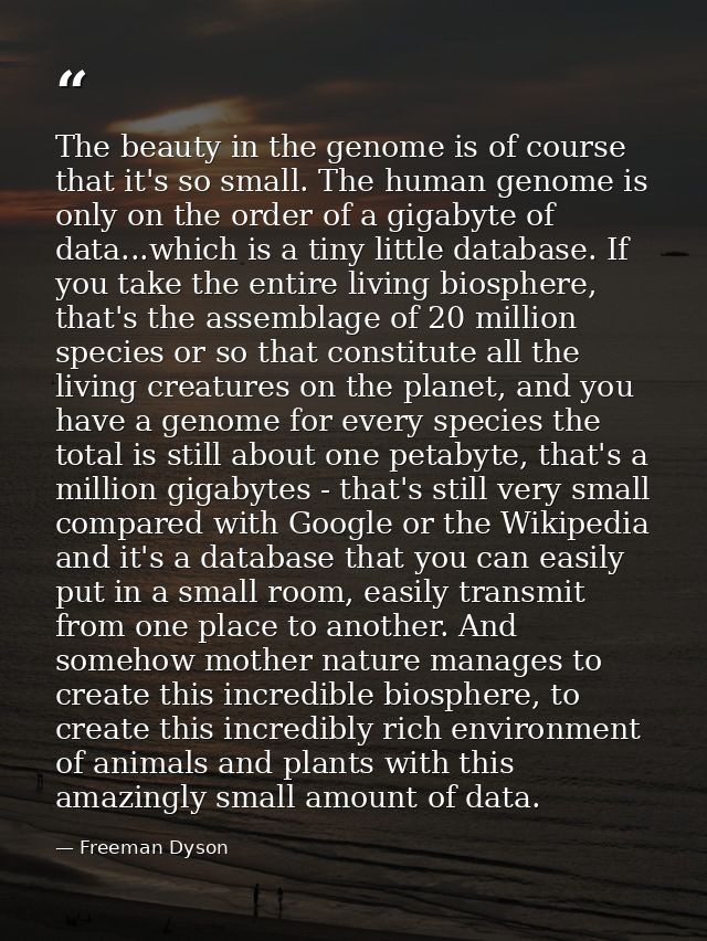 The beauty in the genome is of course that it's so small. The human genome is only on the order of a gigabyte of data... — Freeman Dyson