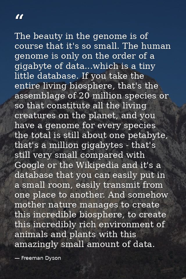 The beauty in the genome is of course that it's so small. The human genome is only on the order of a gigabyte of data... — Freeman Dyson