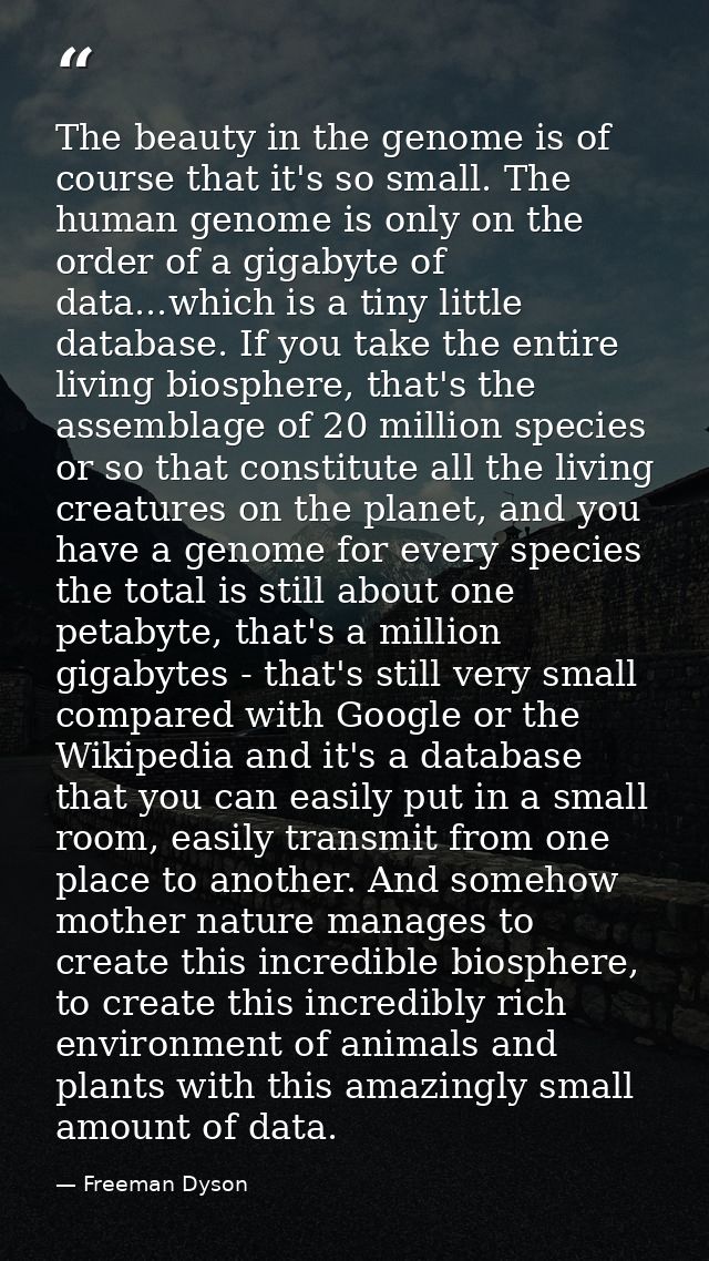 The beauty in the genome is of course that it's so small. The human genome is only on the order of a gigabyte of data... — Freeman Dyson