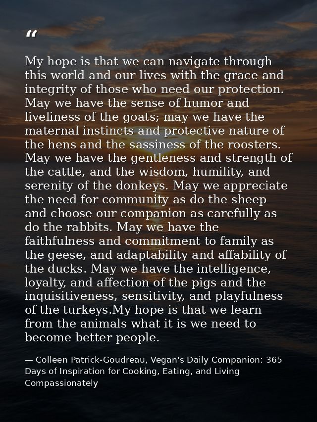 My hope is that we can navigate through this world and our lives with the grace and integrity of those who need our prot — Colleen Patrick-Goudreau, Vegan's Daily Companion: 365 Days of Inspiration for Cooking, Eating, and Living Compassionately