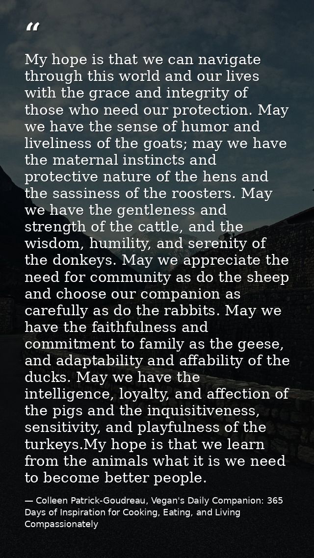 My hope is that we can navigate through this world and our lives with the grace and integrity of those who need our prot — Colleen Patrick-Goudreau, Vegan's Daily Companion: 365 Days of Inspiration for Cooking, Eating, and Living Compassionately