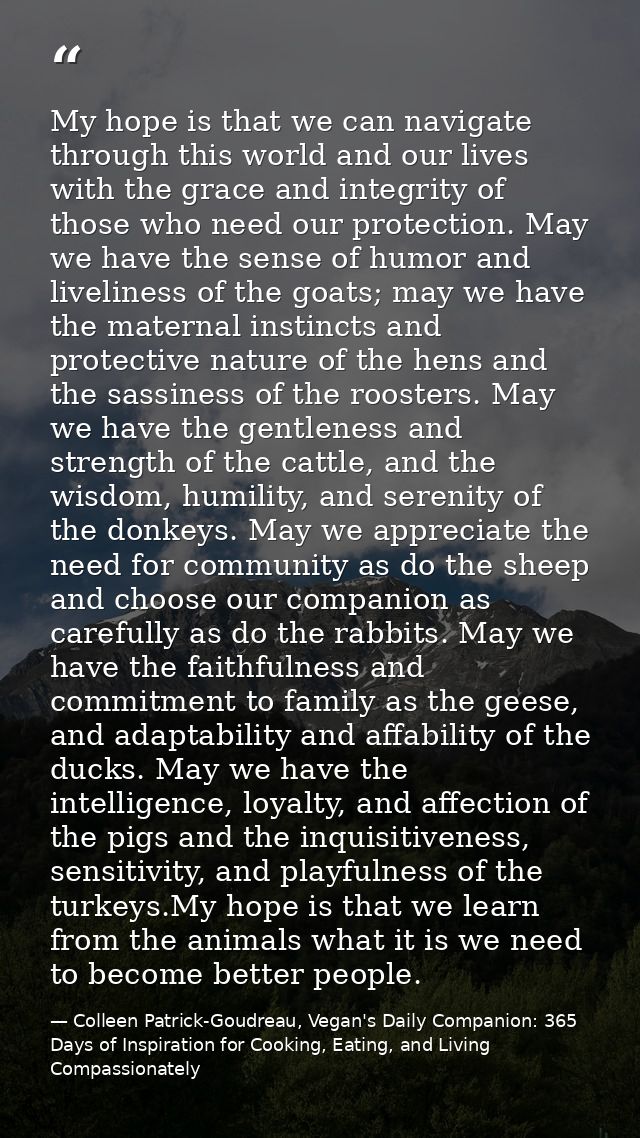My hope is that we can navigate through this world and our lives with the grace and integrity of those who need our prot — Colleen Patrick-Goudreau, Vegan's Daily Companion: 365 Days of Inspiration for Cooking, Eating, and Living Compassionately
