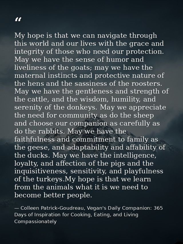 My hope is that we can navigate through this world and our lives with the grace and integrity of those who need our prot — Colleen Patrick-Goudreau, Vegan's Daily Companion: 365 Days of Inspiration for Cooking, Eating, and Living Compassionately