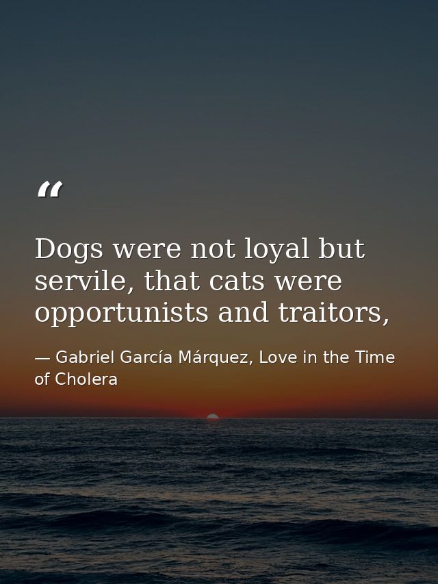 Dogs were not loyal but servile, that cats were opportunists and traitors, — Gabriel García Márquez, Love in the Time of Cholera