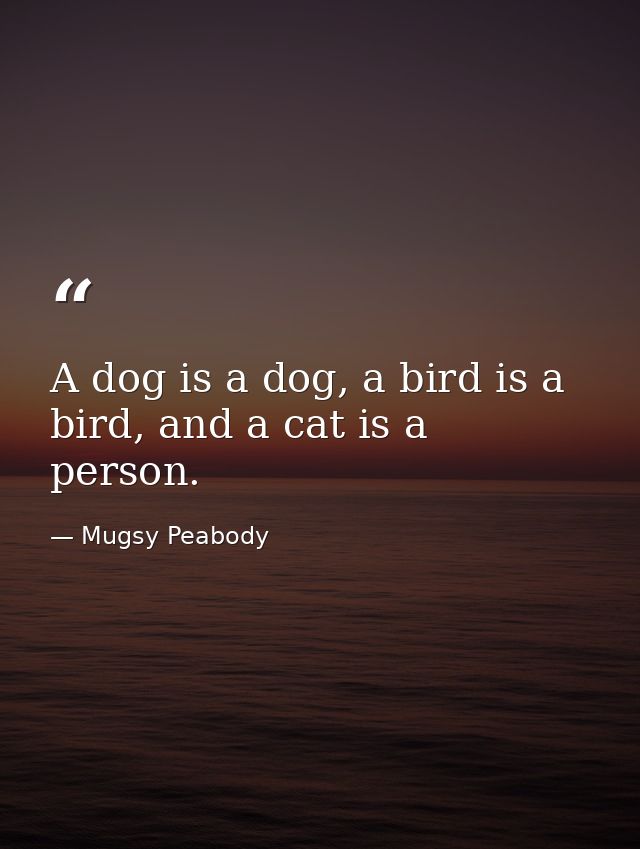 A dog is a dog, a bird is a bird, and a cat is a person. — Mugsy Peabody