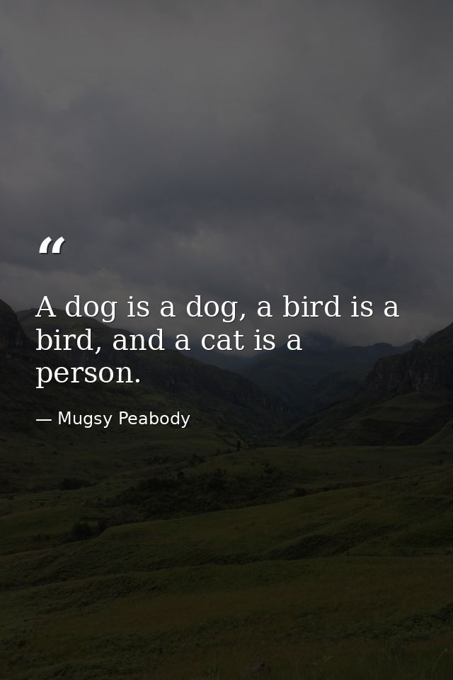 A dog is a dog, a bird is a bird, and a cat is a person. — Mugsy Peabody
