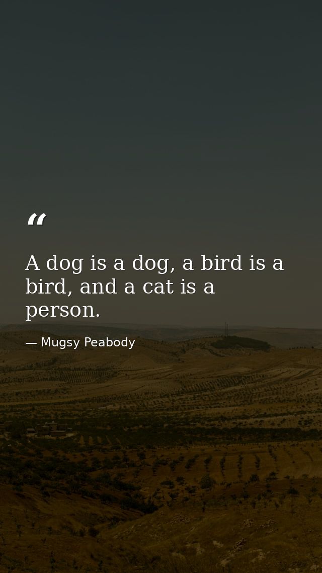 A dog is a dog, a bird is a bird, and a cat is a person. — Mugsy Peabody