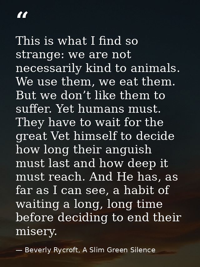 This is what I find so strange: we are not necessarily kind to animals. We use them, we eat them. But we don’t like them — Beverly Rycroft, A Slim Green Silence