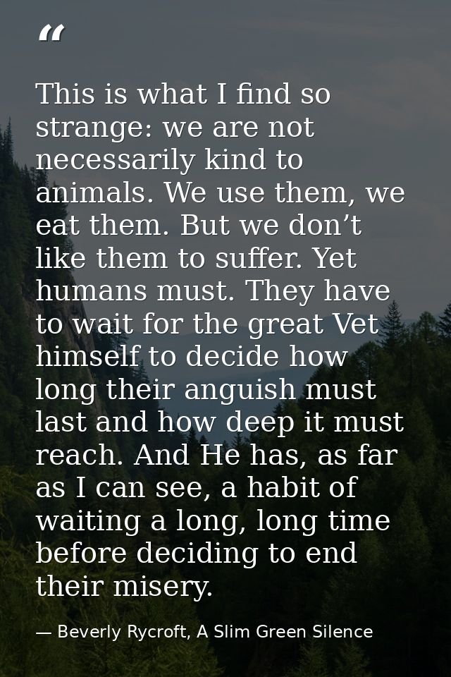 This is what I find so strange: we are not necessarily kind to animals. We use them, we eat them. But we don’t like them — Beverly Rycroft, A Slim Green Silence