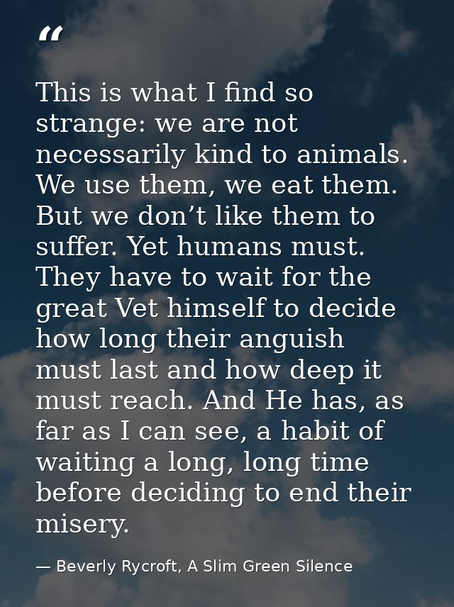 This is what I find so strange: we are not necessarily kind to animals. We use them, we eat them. But we don’t like them — Beverly Rycroft, A Slim Green Silence