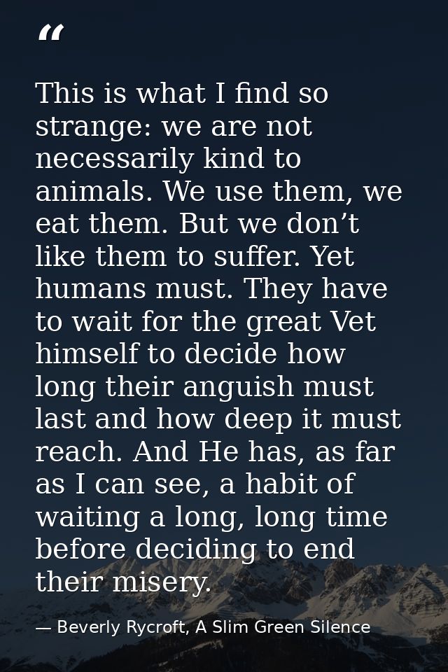 This is what I find so strange: we are not necessarily kind to animals. We use them, we eat them. But we don’t like them — Beverly Rycroft, A Slim Green Silence