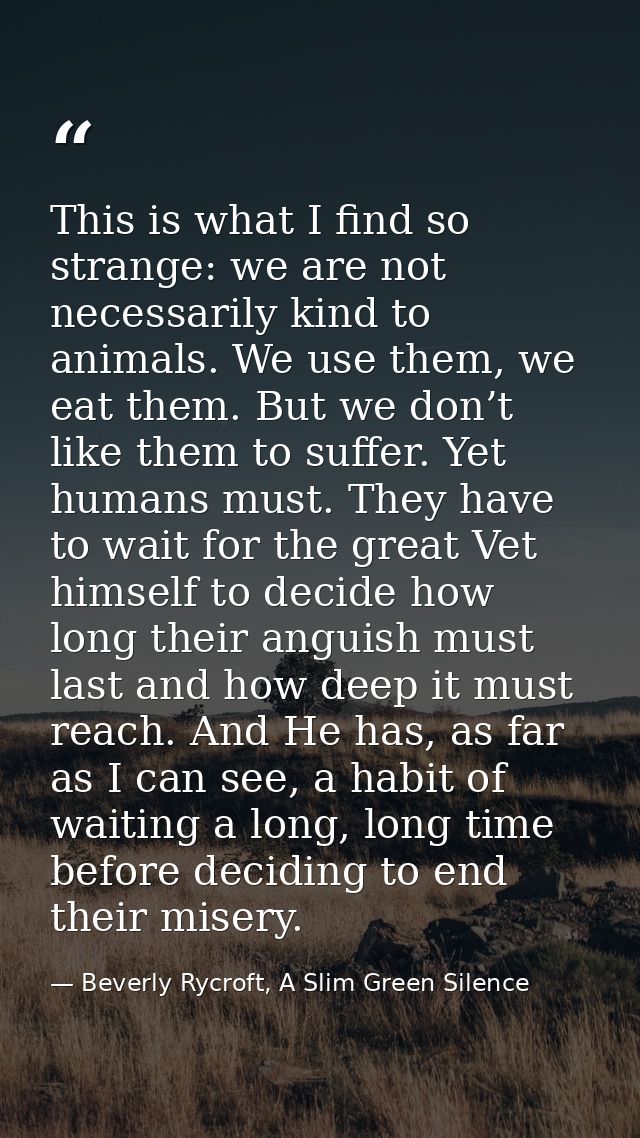 This is what I find so strange: we are not necessarily kind to animals. We use them, we eat them. But we don’t like them — Beverly Rycroft, A Slim Green Silence