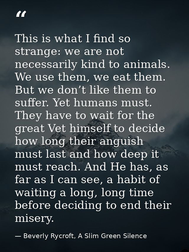 This is what I find so strange: we are not necessarily kind to animals. We use them, we eat them. But we don’t like them — Beverly Rycroft, A Slim Green Silence