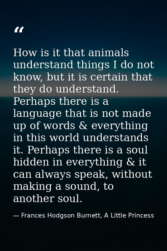 How is it that animals understand things I do not know, but it is certain that they do understand. Perhaps there is a la — Frances Hodgson Burnett, A Little Princess