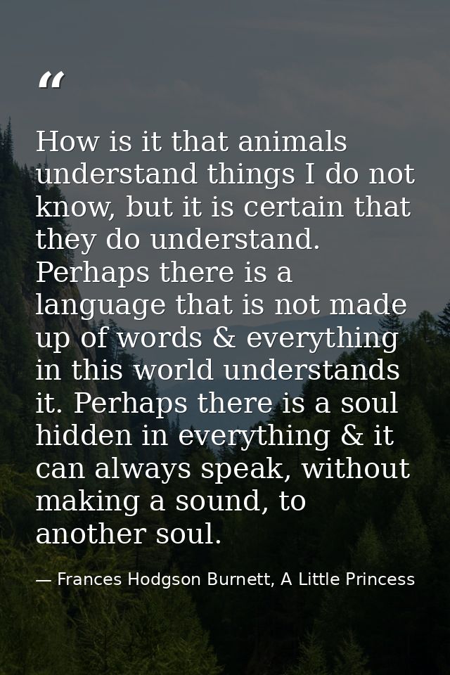 How is it that animals understand things I do not know, but it is certain that they do understand. Perhaps there is a la — Frances Hodgson Burnett, A Little Princess