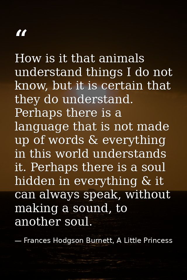 How is it that animals understand things I do not know, but it is certain that they do understand. Perhaps there is a la — Frances Hodgson Burnett, A Little Princess