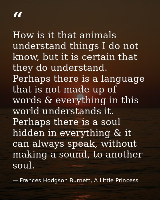 How is it that animals understand things I do not know, but it is certain that they do understand. Perhaps there is a la — Frances Hodgson Burnett, A Little Princess