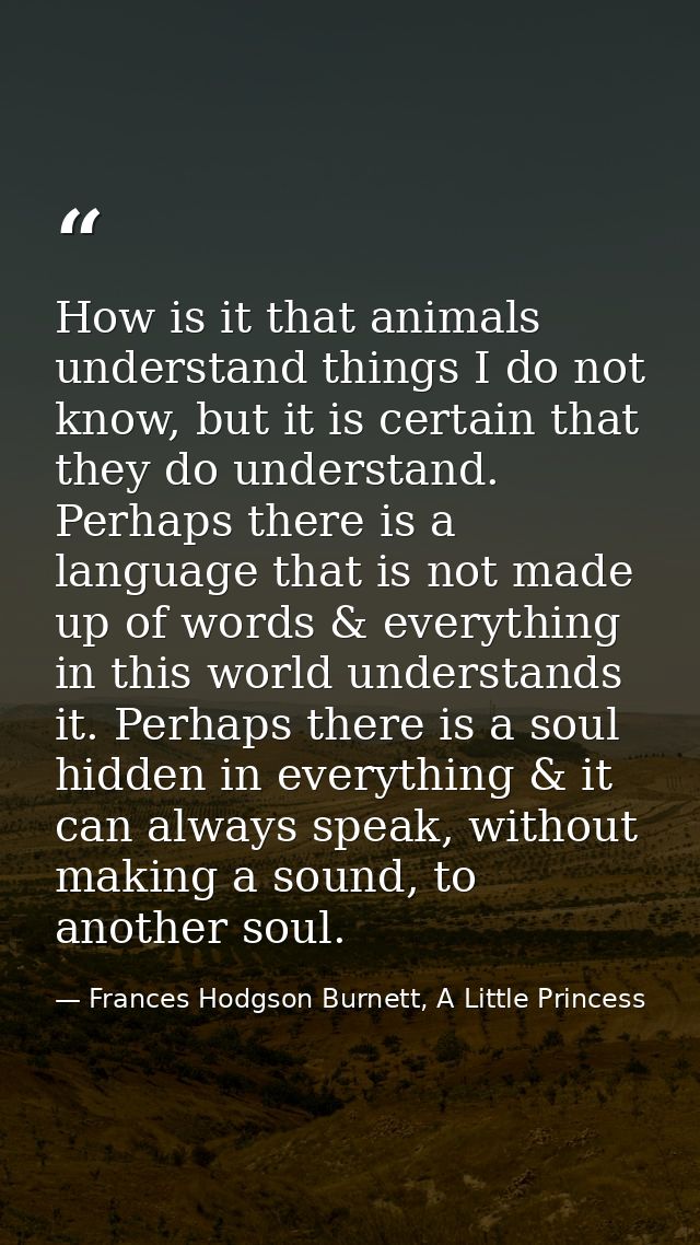 How is it that animals understand things I do not know, but it is certain that they do understand. Perhaps there is a la — Frances Hodgson Burnett, A Little Princess