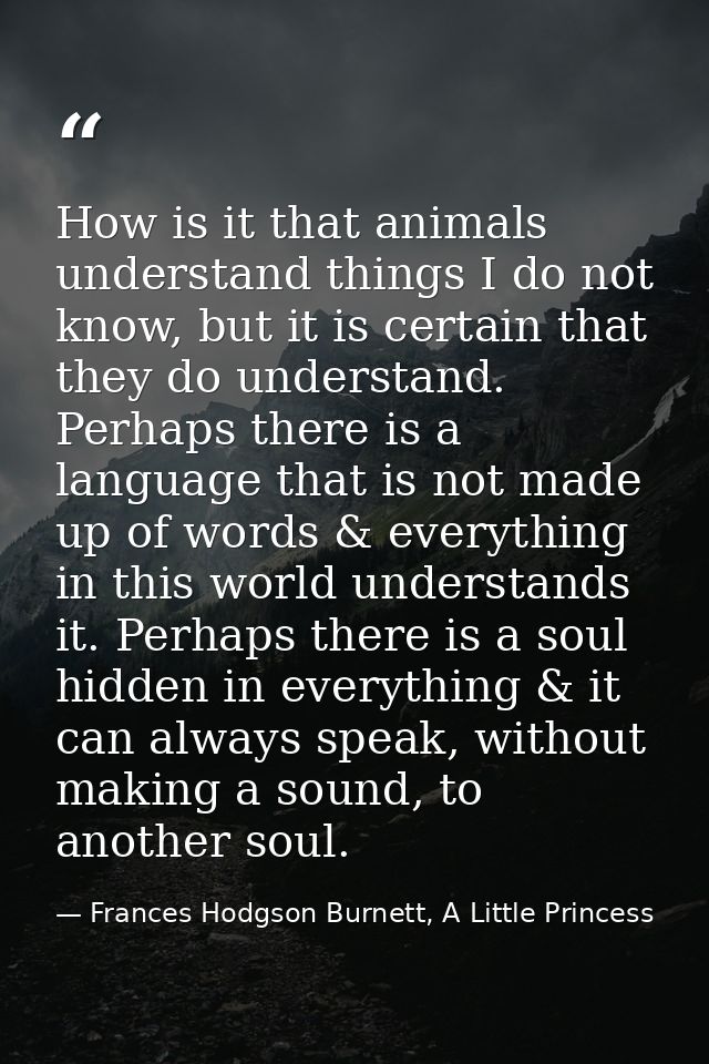 How is it that animals understand things I do not know, but it is certain that they do understand. Perhaps there is a la — Frances Hodgson Burnett, A Little Princess