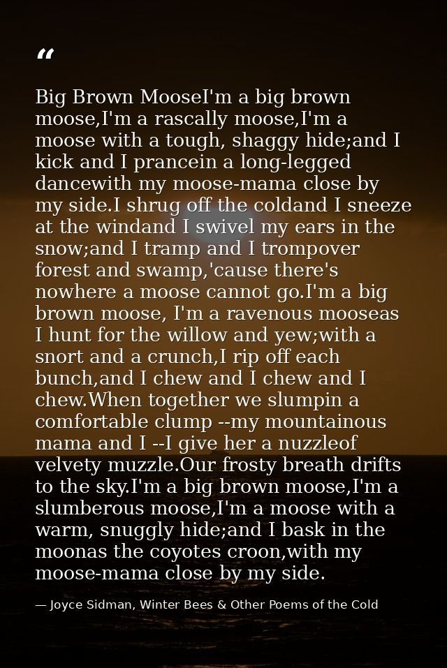 Big Brown MooseI'm a big brown moose,I'm a rascally moose,I'm a moose with a tough, shaggy hide;and I kick and I prancei — Joyce Sidman, Winter Bees & Other Poems of the Cold