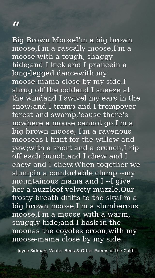 Big Brown MooseI'm a big brown moose,I'm a rascally moose,I'm a moose with a tough, shaggy hide;and I kick and I prancei — Joyce Sidman, Winter Bees & Other Poems of the Cold