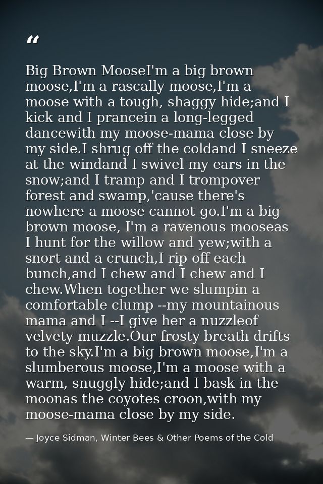 Big Brown MooseI'm a big brown moose,I'm a rascally moose,I'm a moose with a tough, shaggy hide;and I kick and I prancei — Joyce Sidman, Winter Bees & Other Poems of the Cold