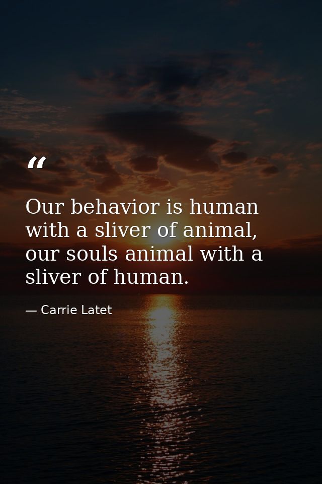 Our behavior is human with a sliver of animal, our souls animal with a sliver of human. — Carrie Latet