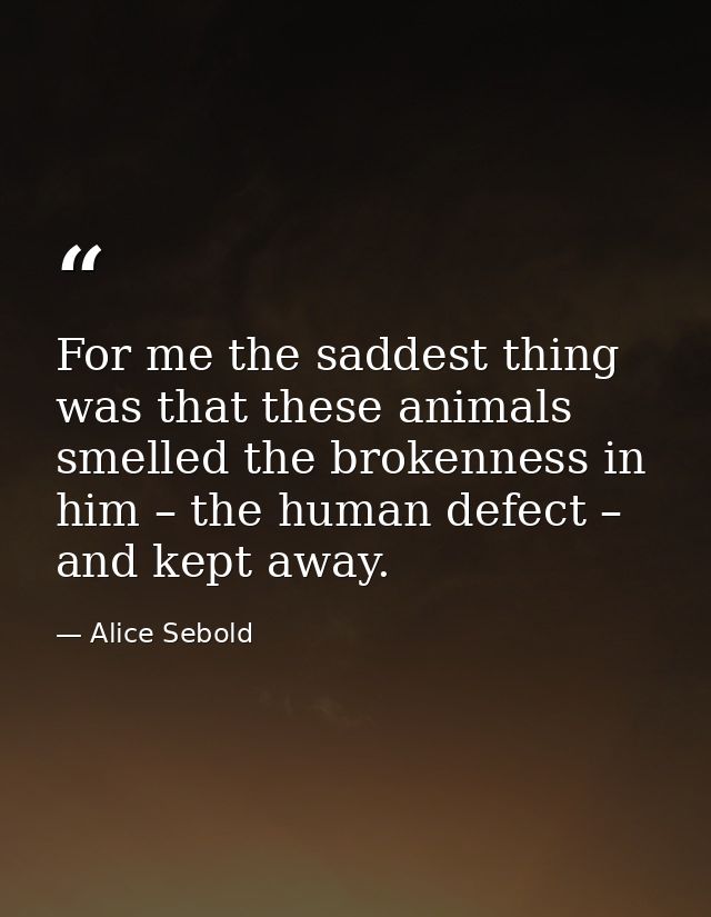 For me the saddest thing was that these animals smelled the brokenness in him – the human defect – and kept away. — Alice Sebold