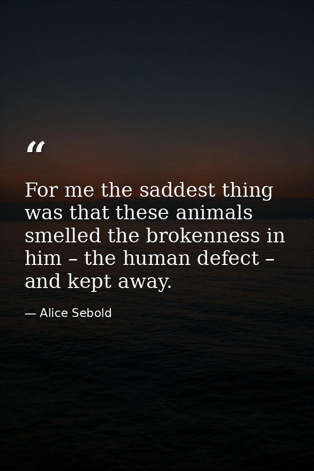 For me the saddest thing was that these animals smelled the brokenness in him – the human defect – and kept away. — Alice Sebold