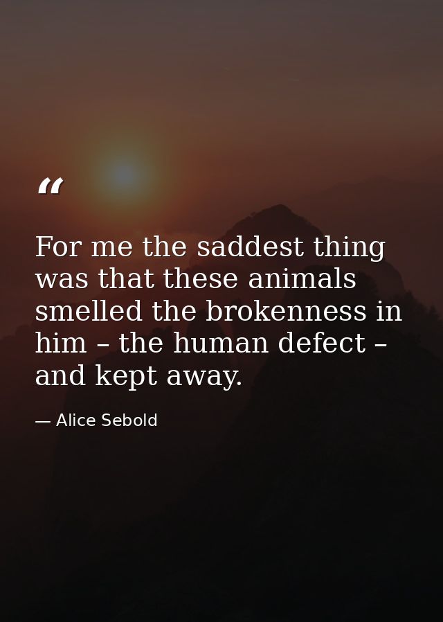 For me the saddest thing was that these animals smelled the brokenness in him – the human defect – and kept away. — Alice Sebold